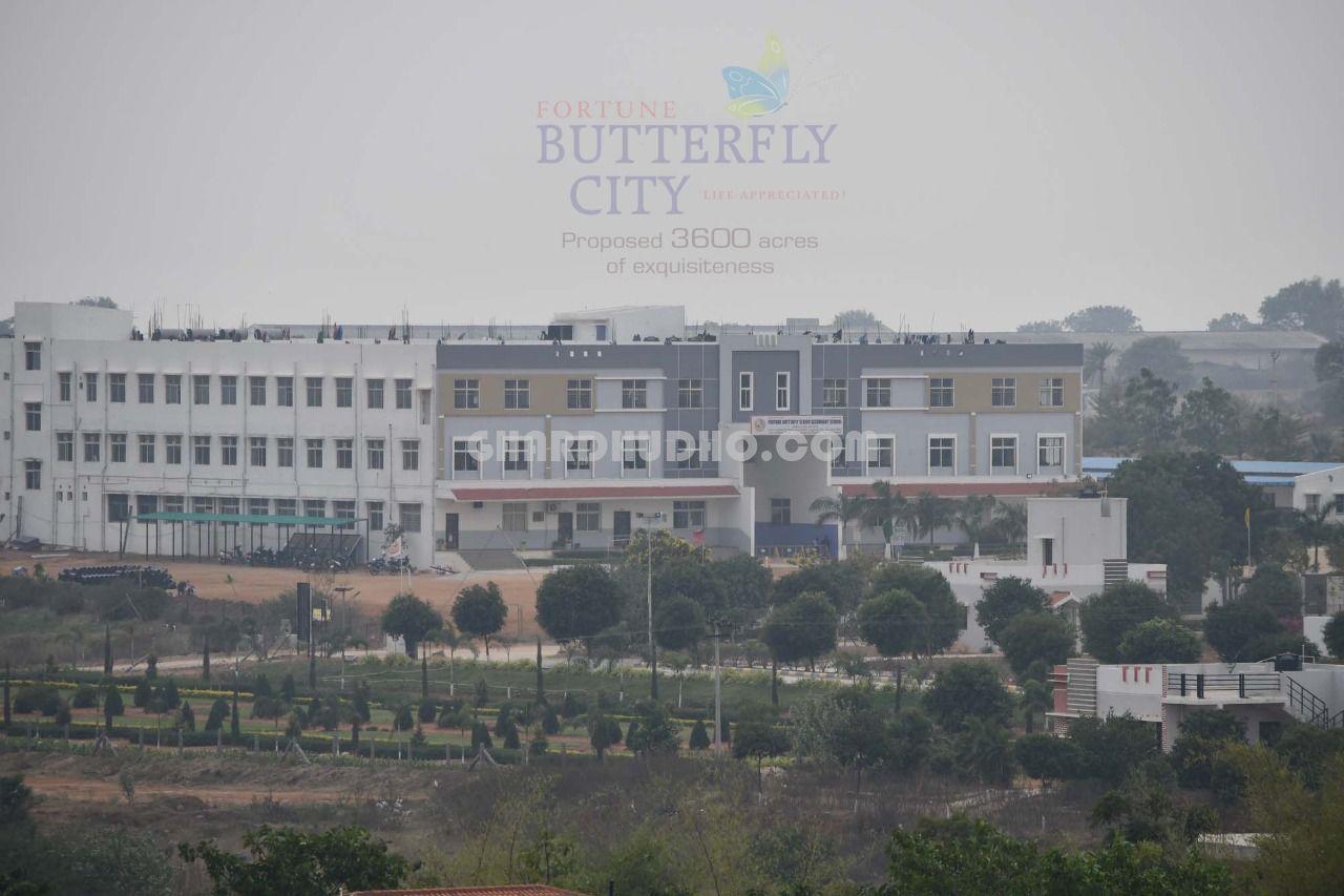 Fortune Butterfly City