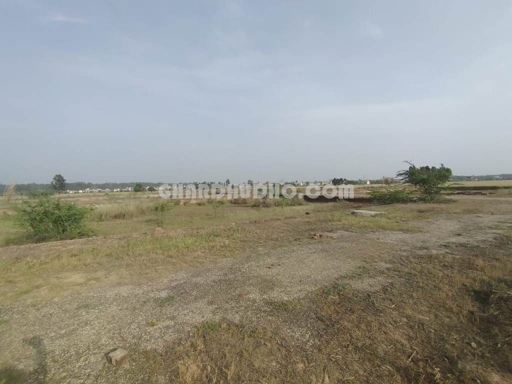 Shri Guru Nanak Dev Nagar : Affordable Free Hold Plots in Dera Bassi Mohali Near Chandigarh
