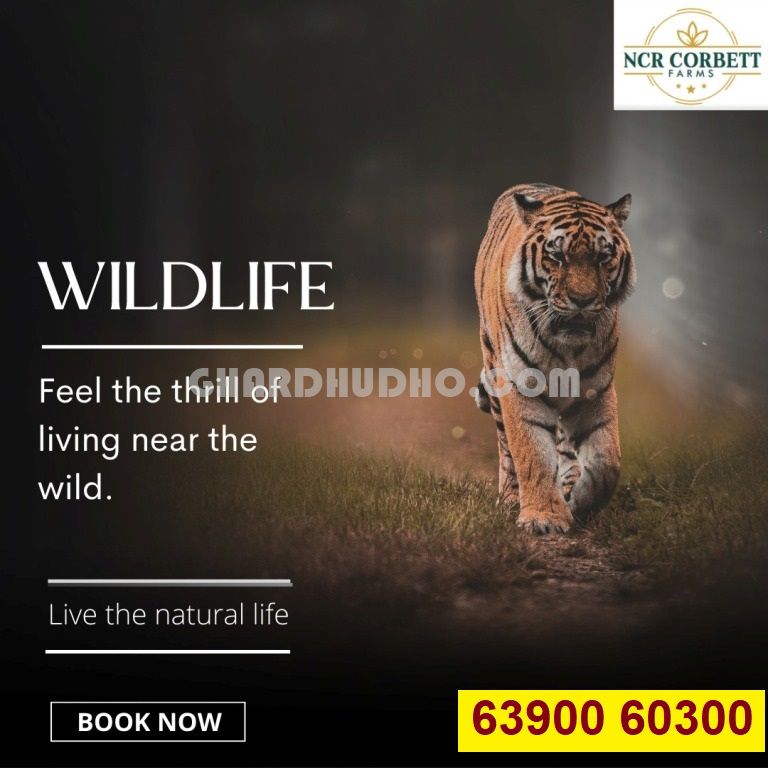 NCR Corbett Farms : Premium Farmhouse In Ram Nagar Nainital