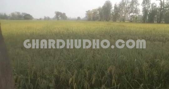 50 Bigha Land For Sale At Sultanpur Road Lucknow