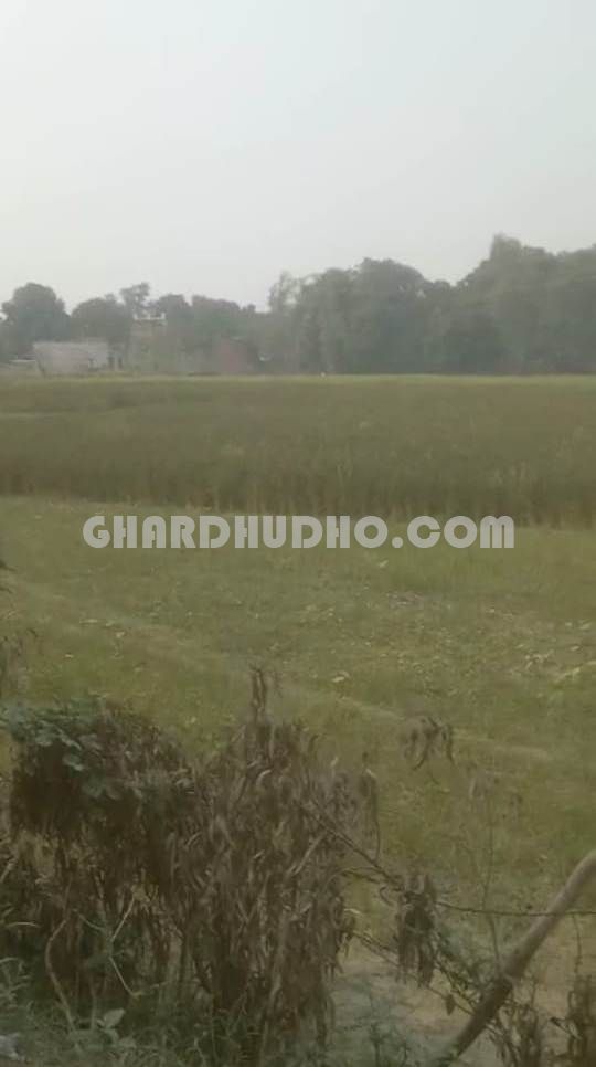 27 Bigha Land For Sale At Sultanpur Road Lucknow