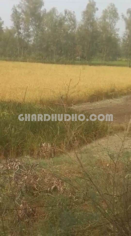 27 Bigha Land For Sale At Sultanpur Road Lucknow