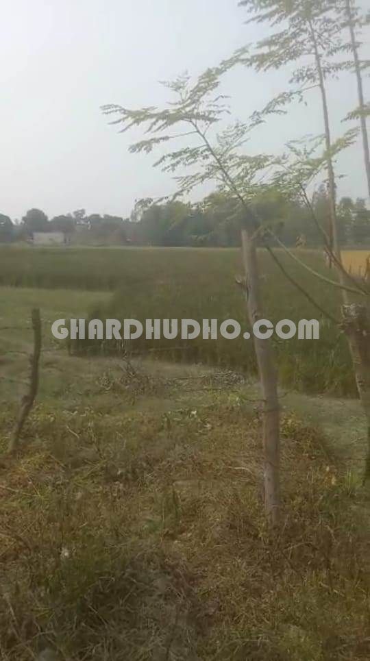 27 Bigha Land For Sale At Sultanpur Road Lucknow