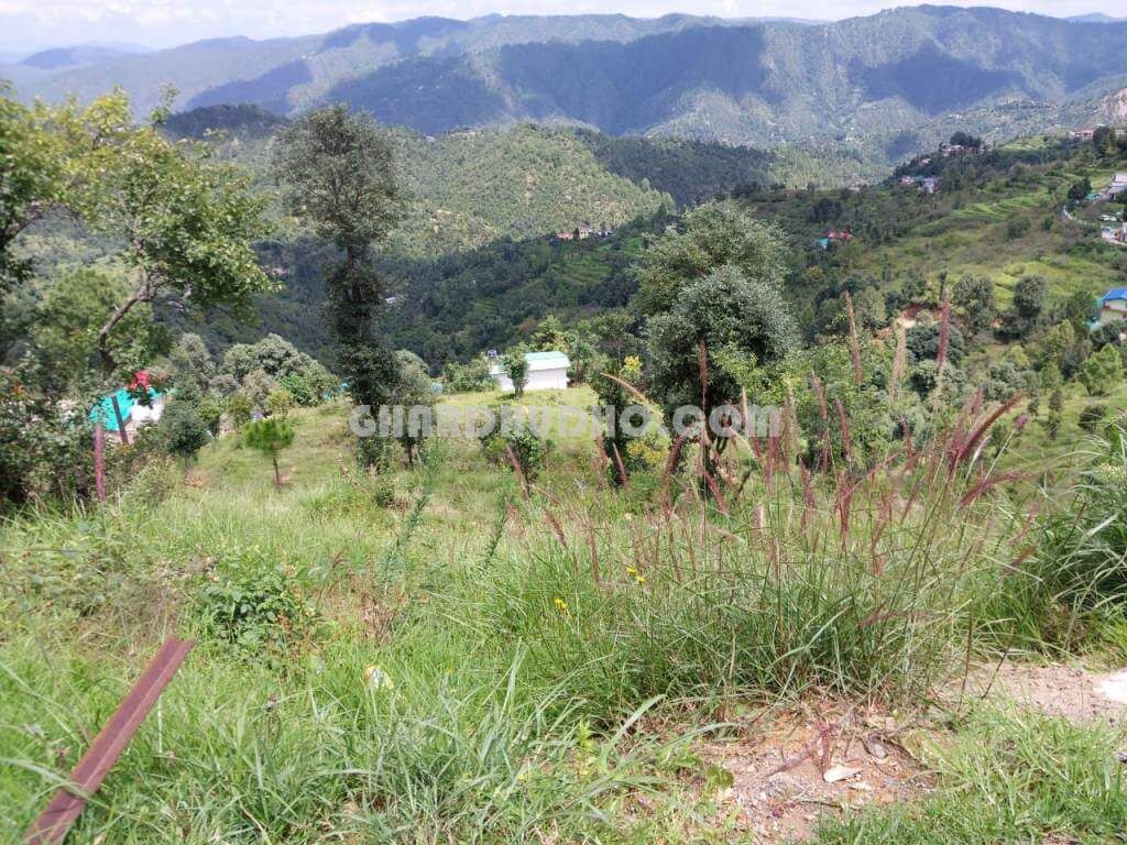 Land For Sale In Bhatelia Mukteshwar Uttarakhand