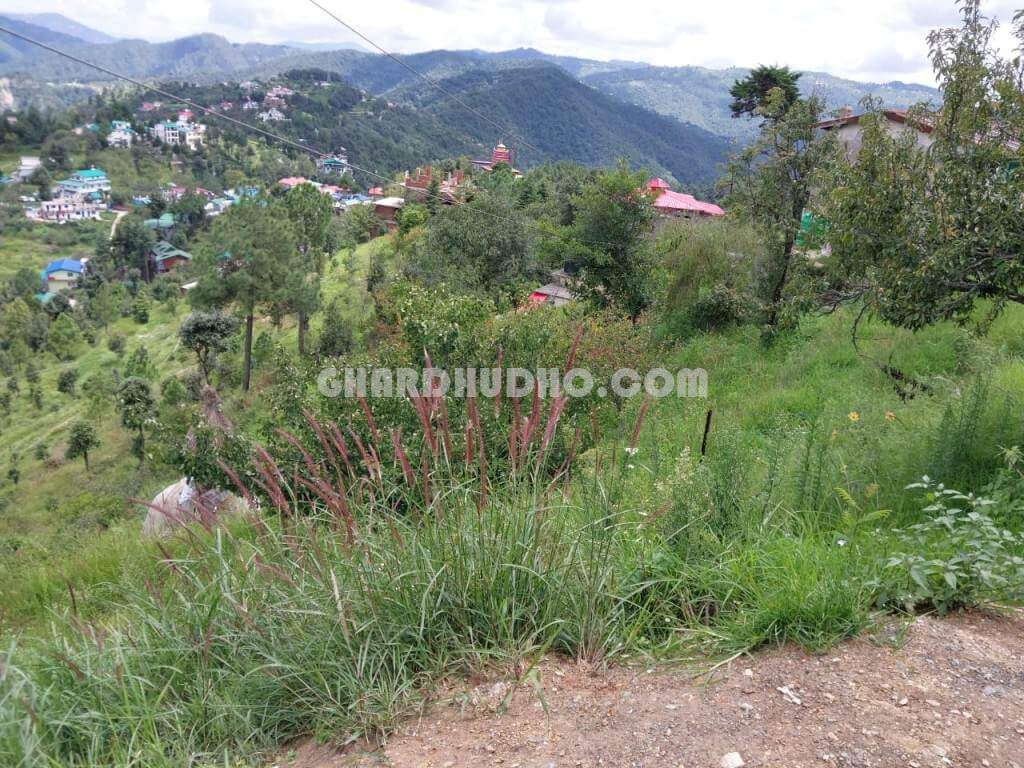 Land For Sale In Bhatelia Mukteshwar Uttarakhand