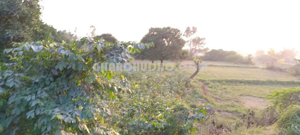 1.5 Bigha Land For Sale In Malihabad Hardoi Road Lucknow