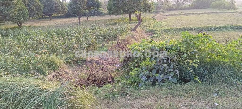 1.5 Bigha Land For Sale In Malihabad Hardoi Road Lucknow
