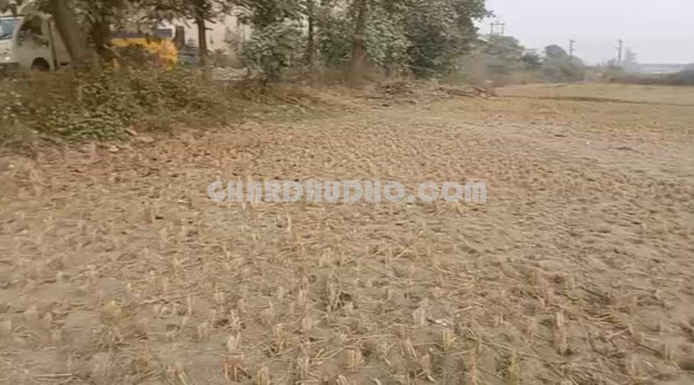 3 bigha Land For Sale In Safedabad Barabanki