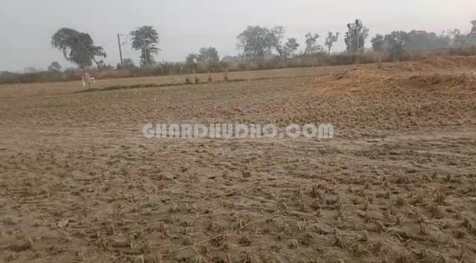 3 bigha Land For Sale In Safedabad Barabanki