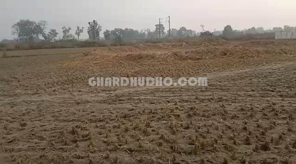 3 bigha Land For Sale In Safedabad Barabanki