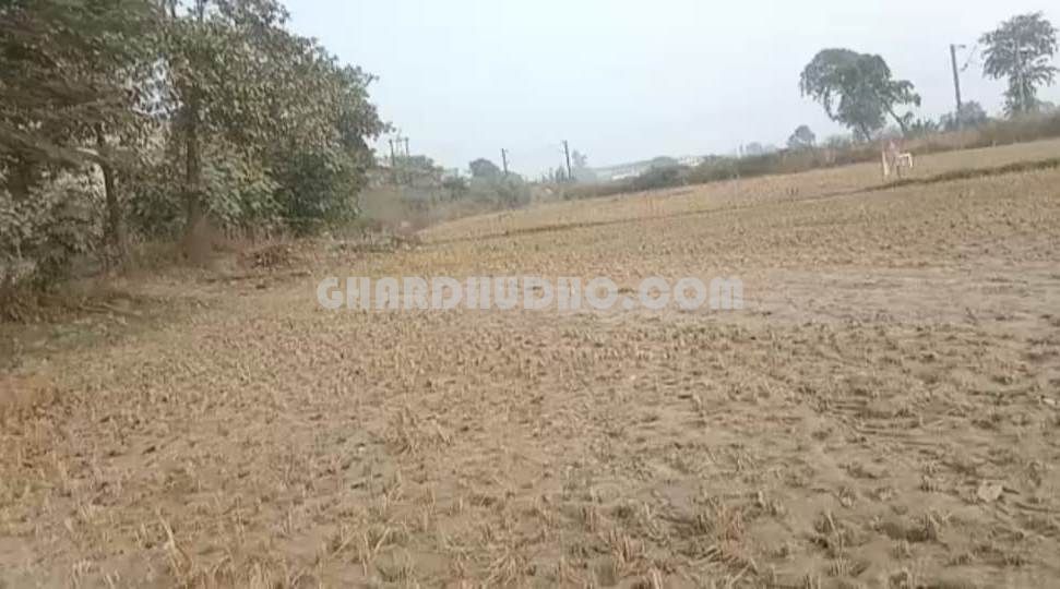3 bigha Land For Sale In Safedabad Barabanki