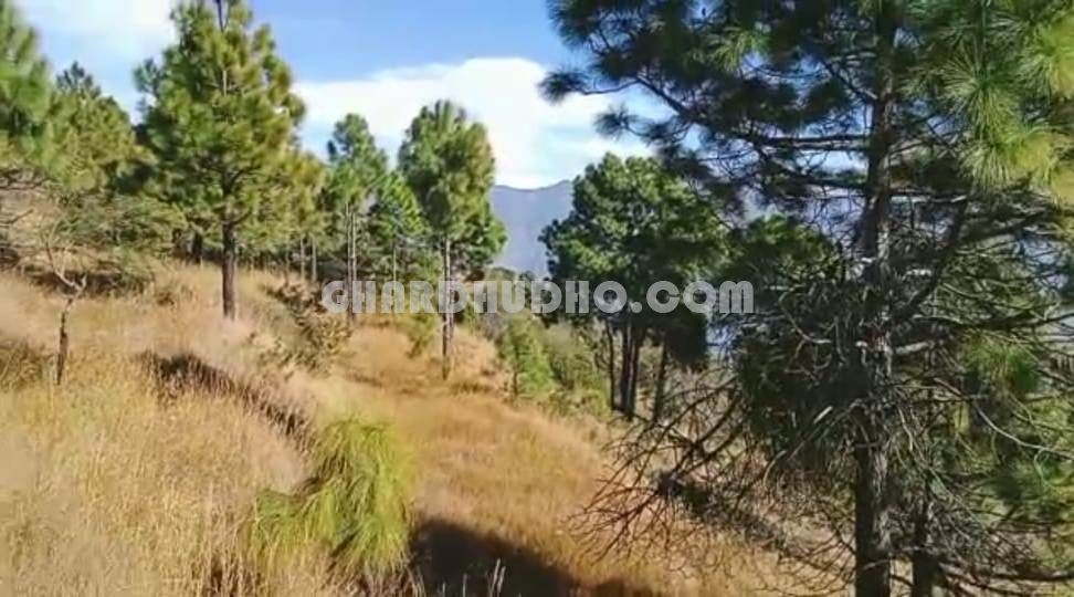 Land For Sale Near Tihari Lake With Himalayan View