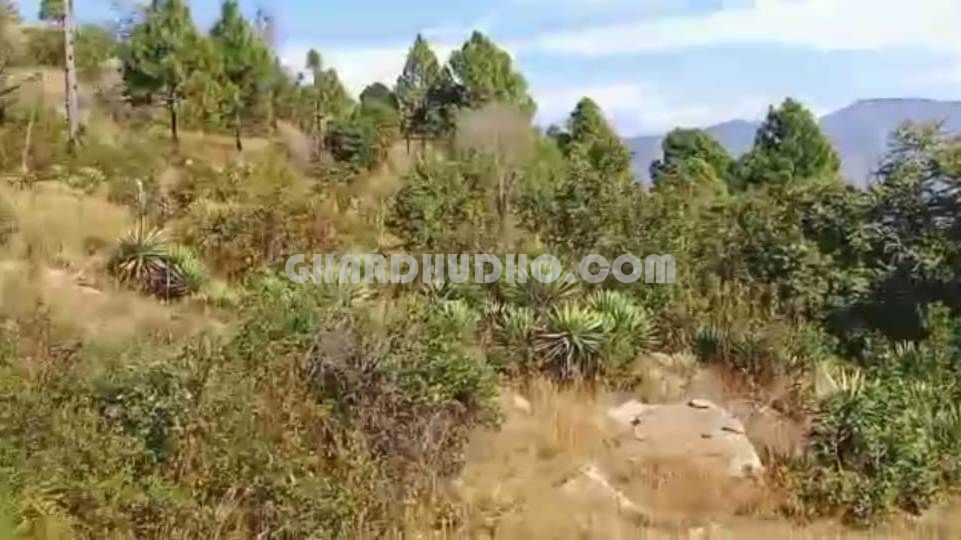 Land For Sale Near Tihari Lake With Himalayan View