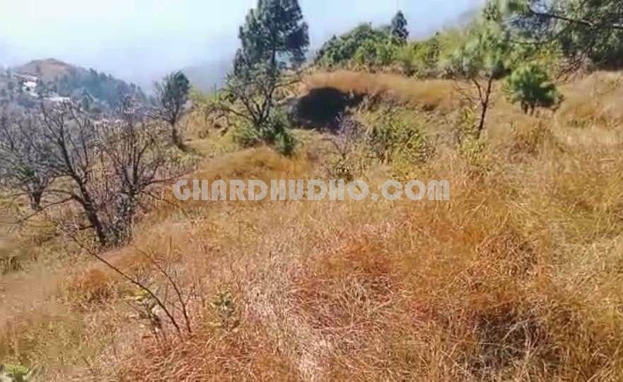 Land For Sale Near Tihari Lake With Himalayan View