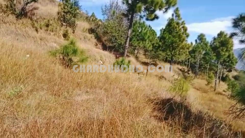 Land For Sale Near Tihari Lake With Himalayan View