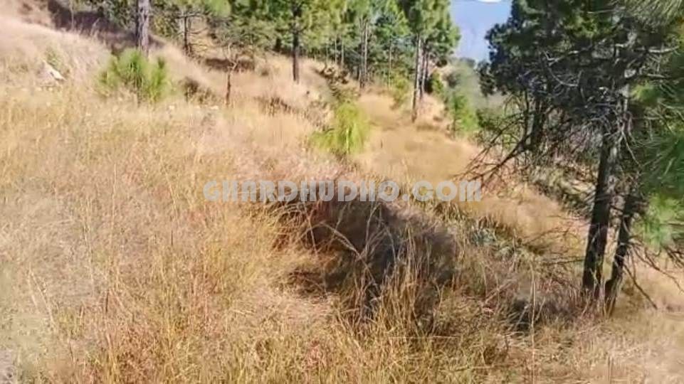 Land For Sale Near Tihari Lake With Himalayan View