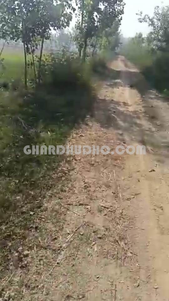 1 Bigha Agricultural Land For Sale In Rampur Uttar Pradesh. Call
