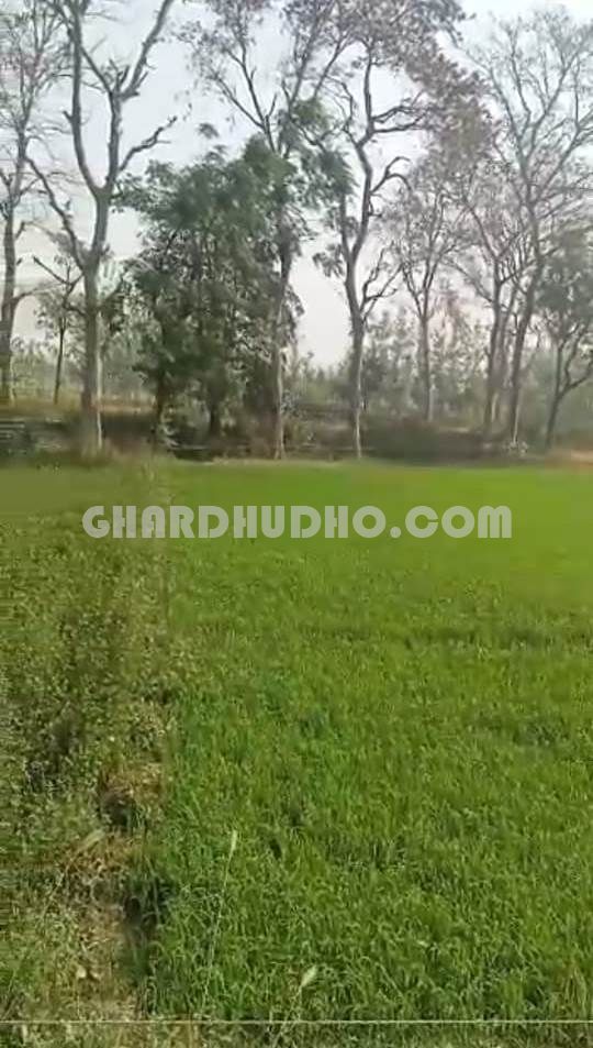 1 Bigha Agricultural Land For Sale In Rampur Uttar Pradesh. Call