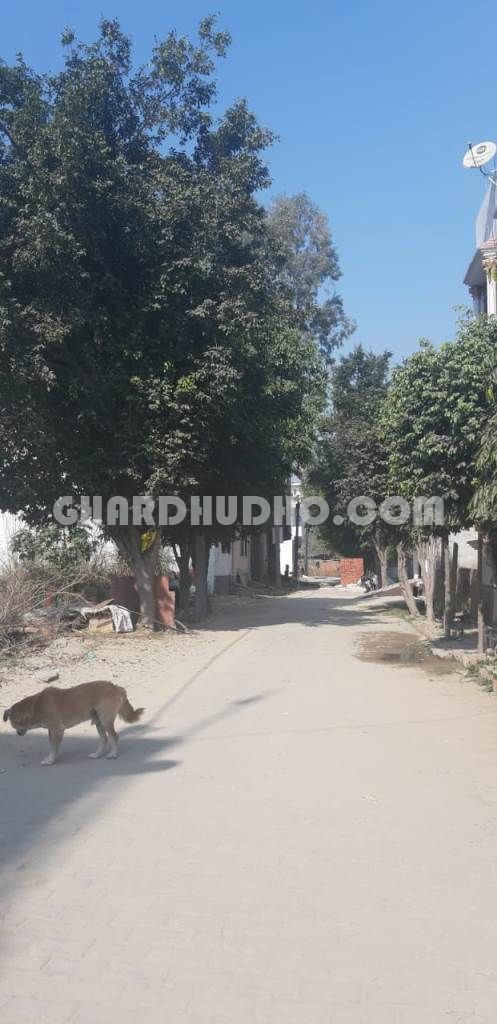 Anugrah Homes : Free Hold Plot At Dadri Greater Noida