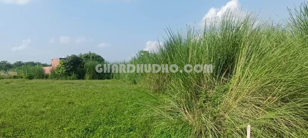 Agricultural Land For Sale At Kanpur Road Lucknow