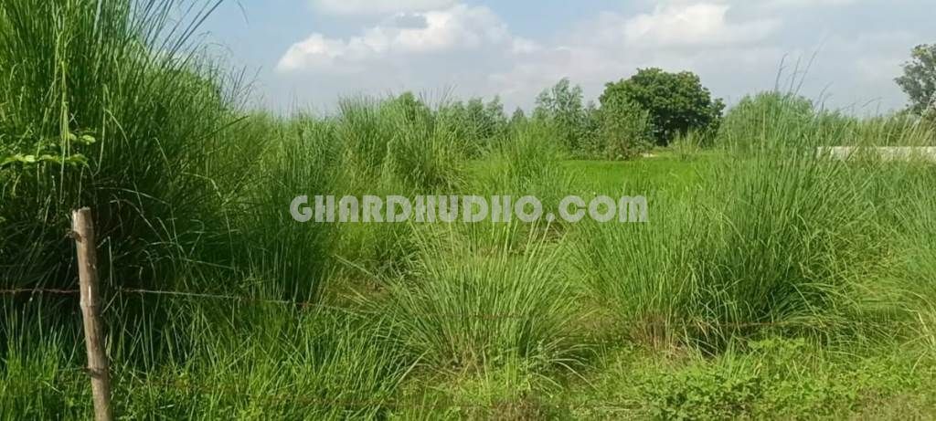 Agricultural Land For Sale At Kanpur Road Lucknow