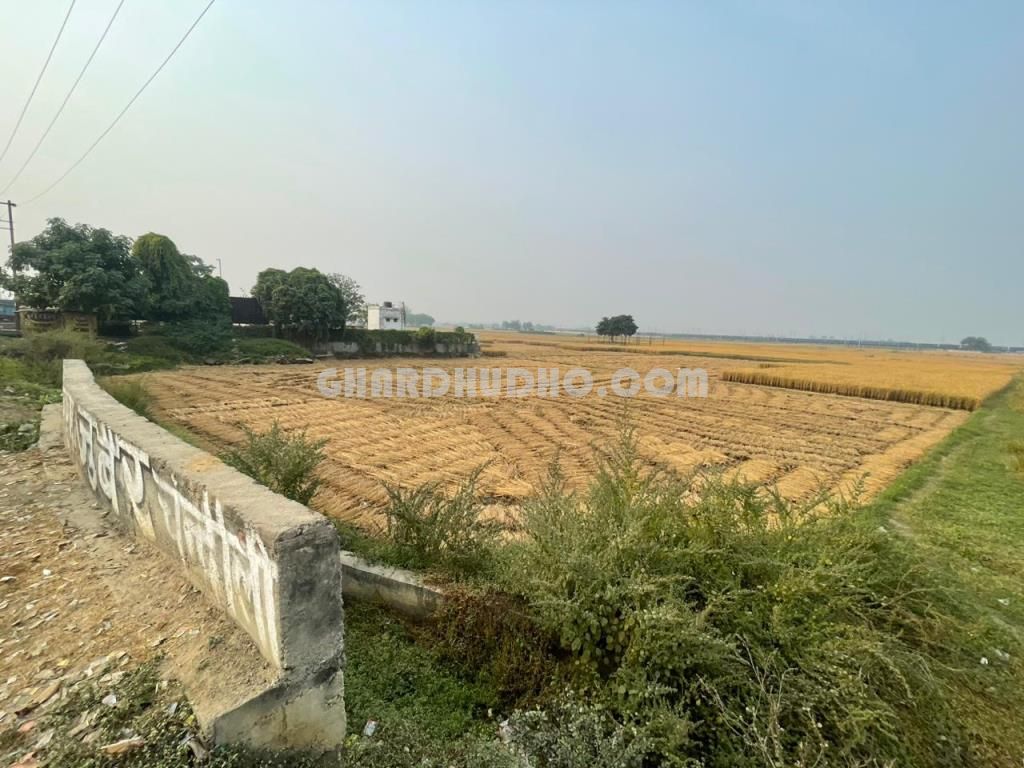 45 Biswa Agricultural Land For Sale In Chandauli Uttar Pradesh