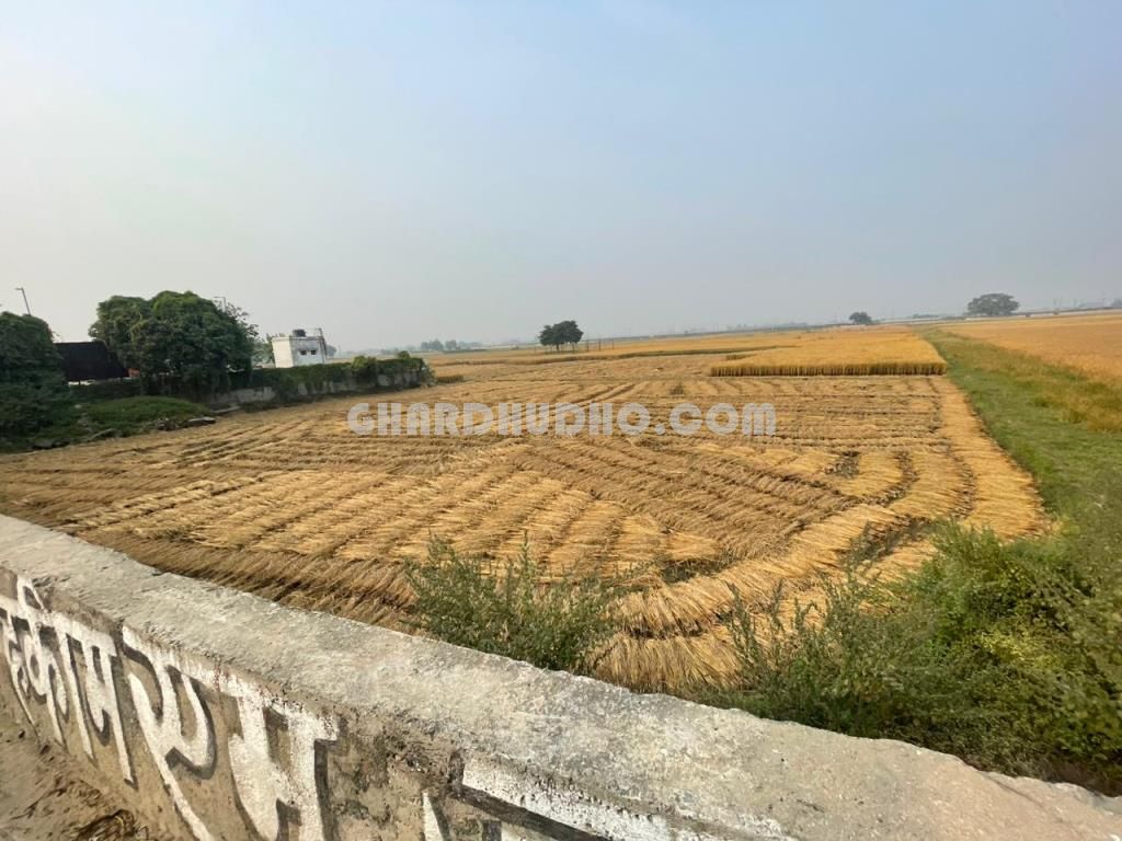 45 Biswa Agricultural Land For Sale In Chandauli Uttar Pradesh