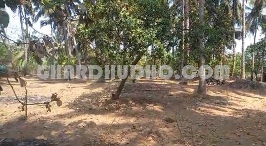 15000 SQMT River View Land With Orchard For Sale In North Goa