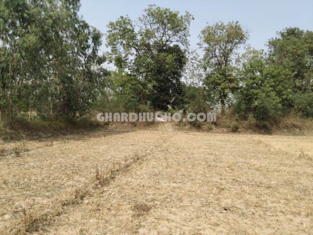 5 Bigha Agricultural Land For Sale At Nilmatha Nagram Road Lucknow
