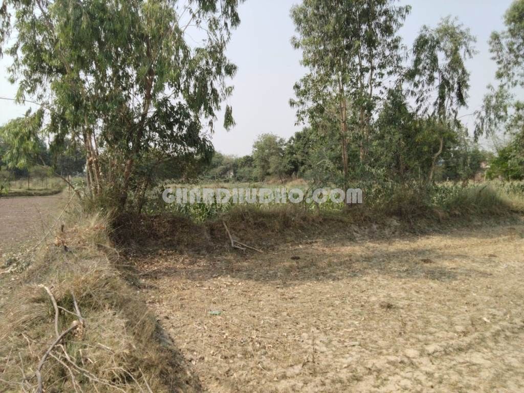 5 Bigha Agricultural Land For Sale At Nilmatha Nagram Road Lucknow