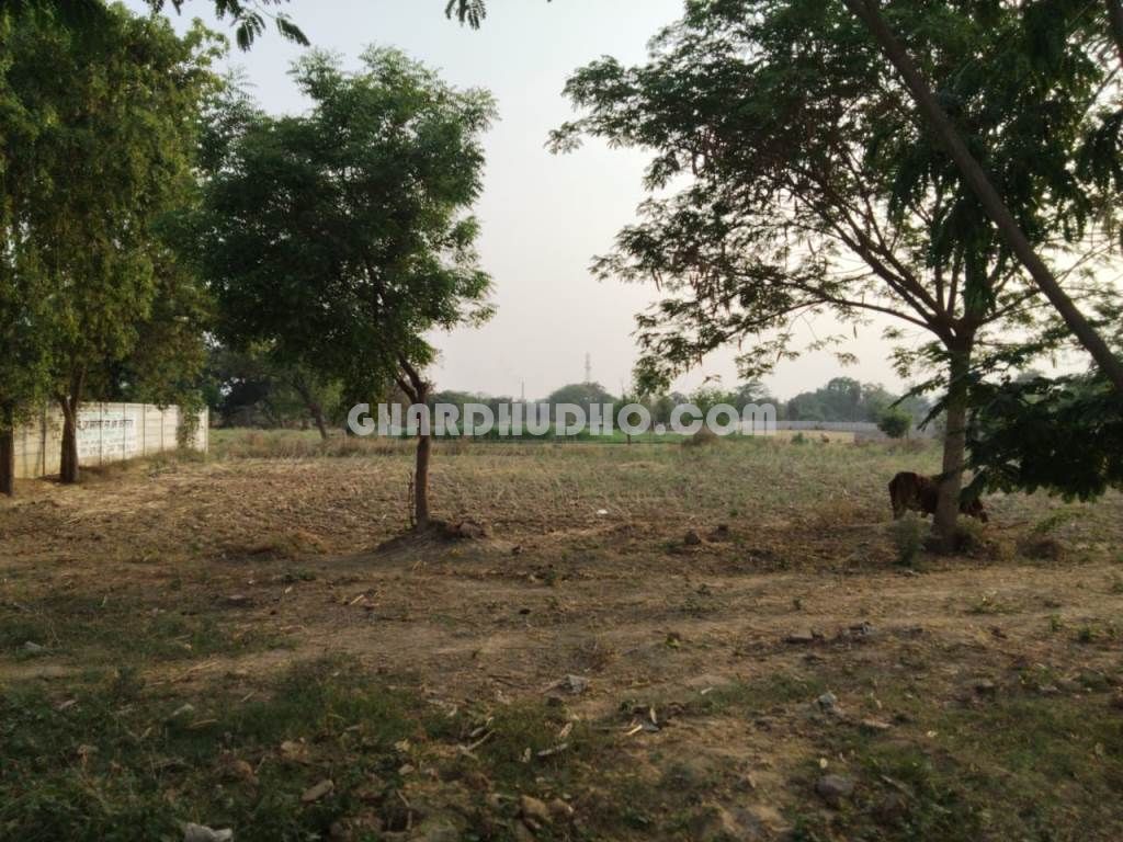53 Bigha Agricultural Land For Sale At Sultanpur Road Lucknow