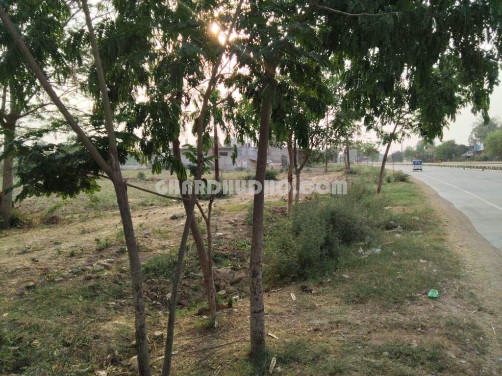 53 Bigha Agricultural Land For Sale At Sultanpur Road Lucknow