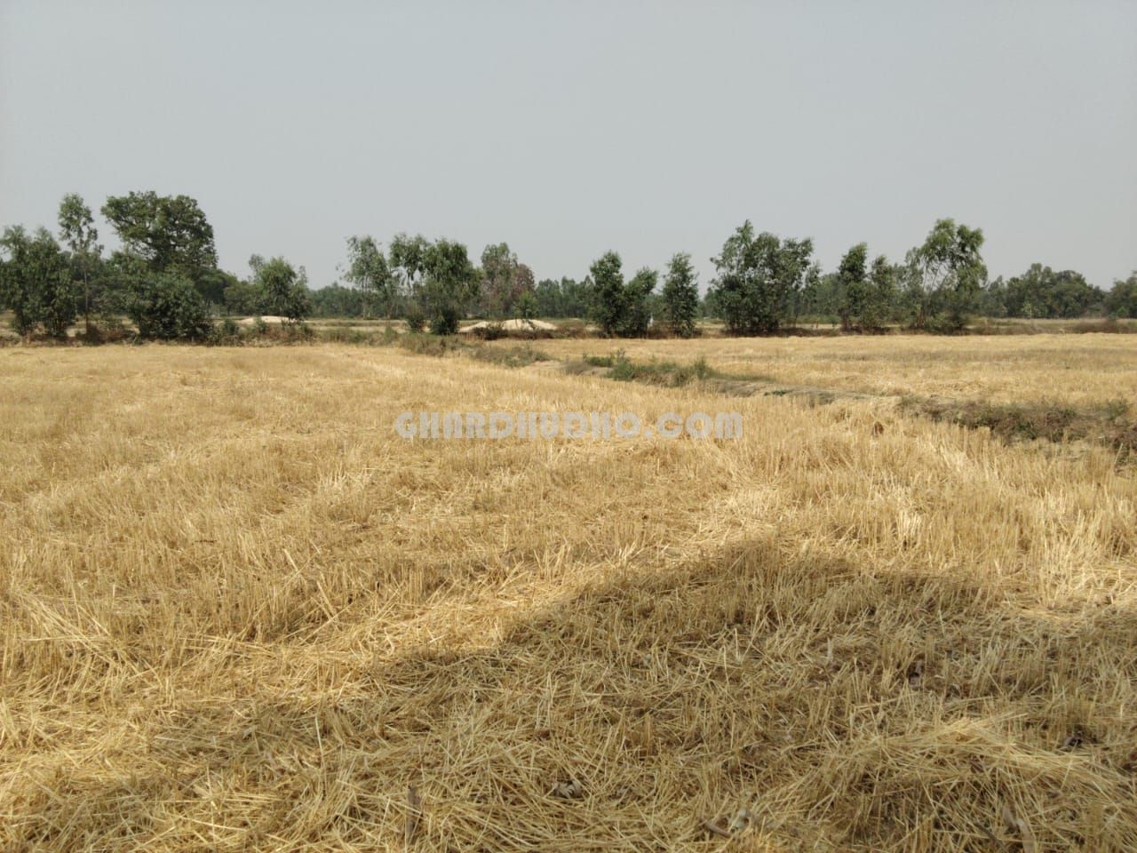 42 Biswa Agricultural Land For Sale In Bachharawan Block Raebareli