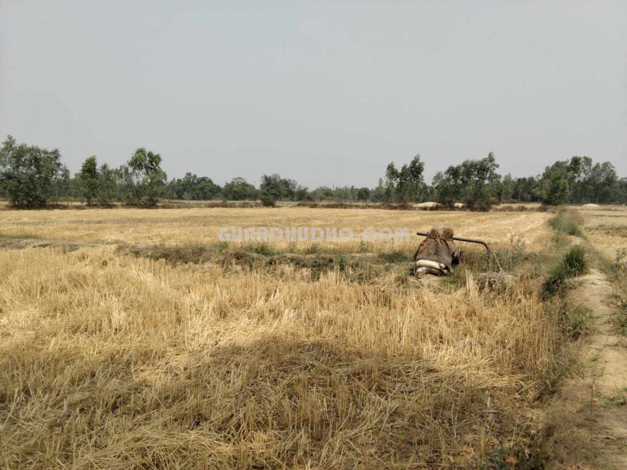 42 Biswa Agricultural Land For Sale In Bachharawan Block Raebareli