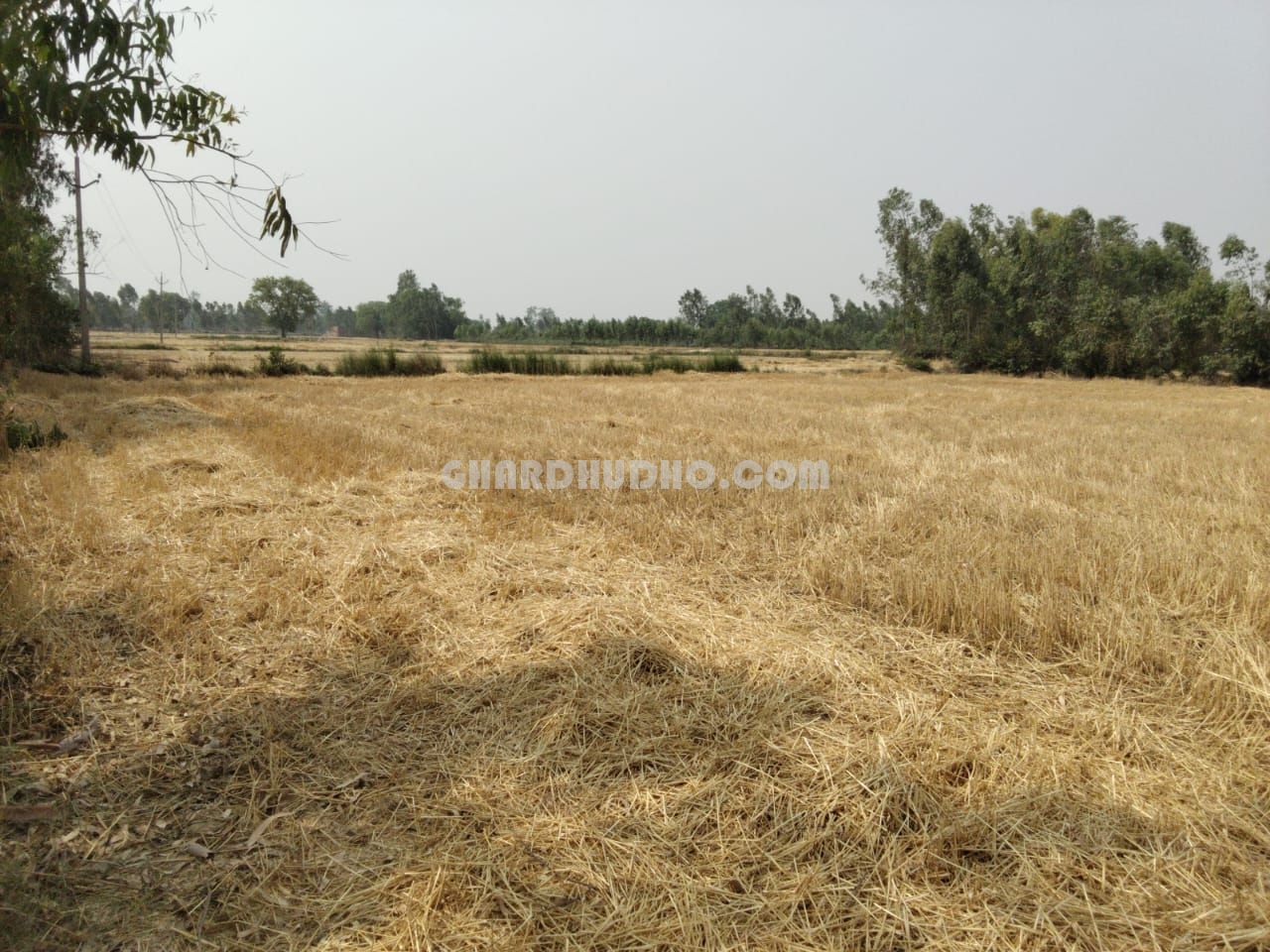 42 Biswa Agricultural Land For Sale In Bachharawan Block Raebareli