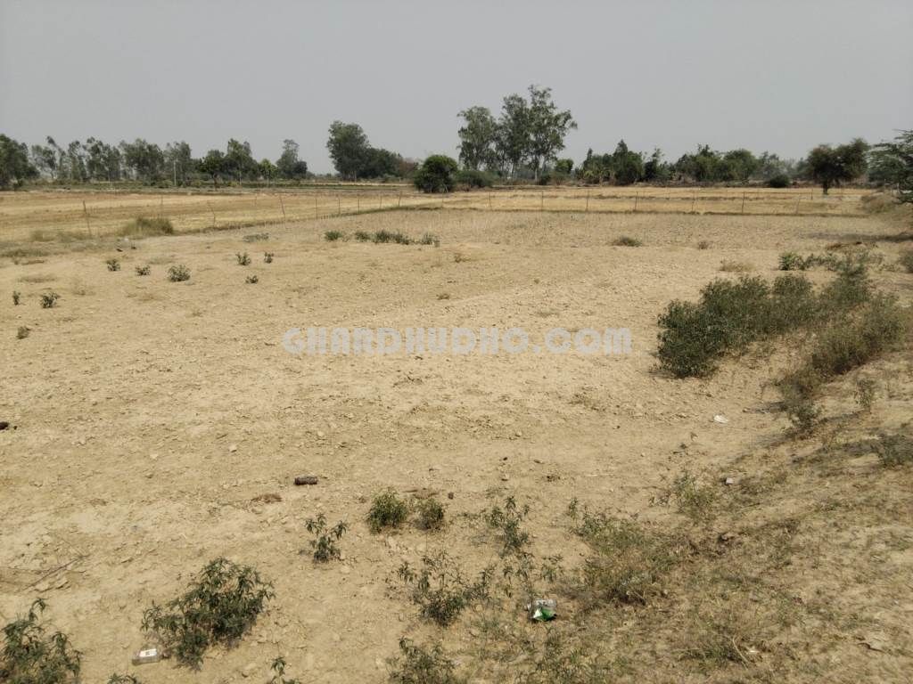 33 Biswa Agricultural Land For Sale In Bachharawan Block Raebareli