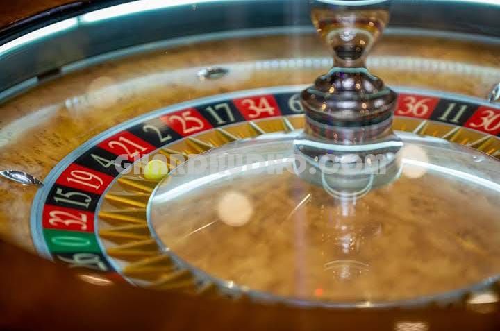 Hotel Plus Casino For Sale In Goa 