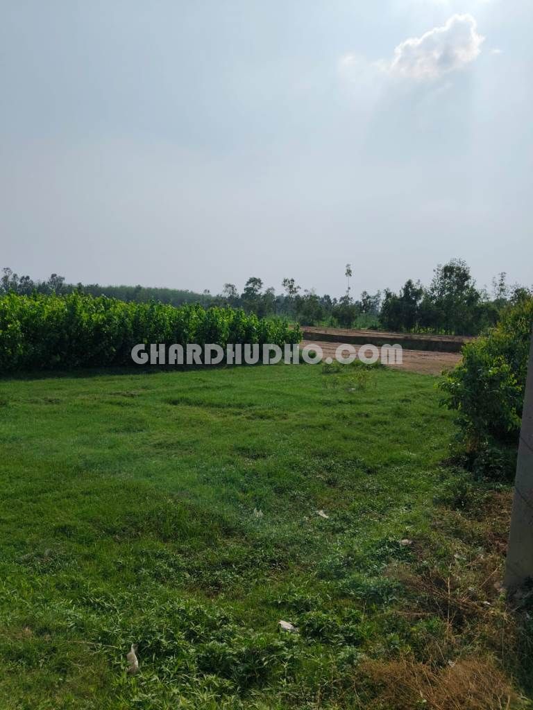 6 Bigha Agricultural Land For Sale In Moradabad UP