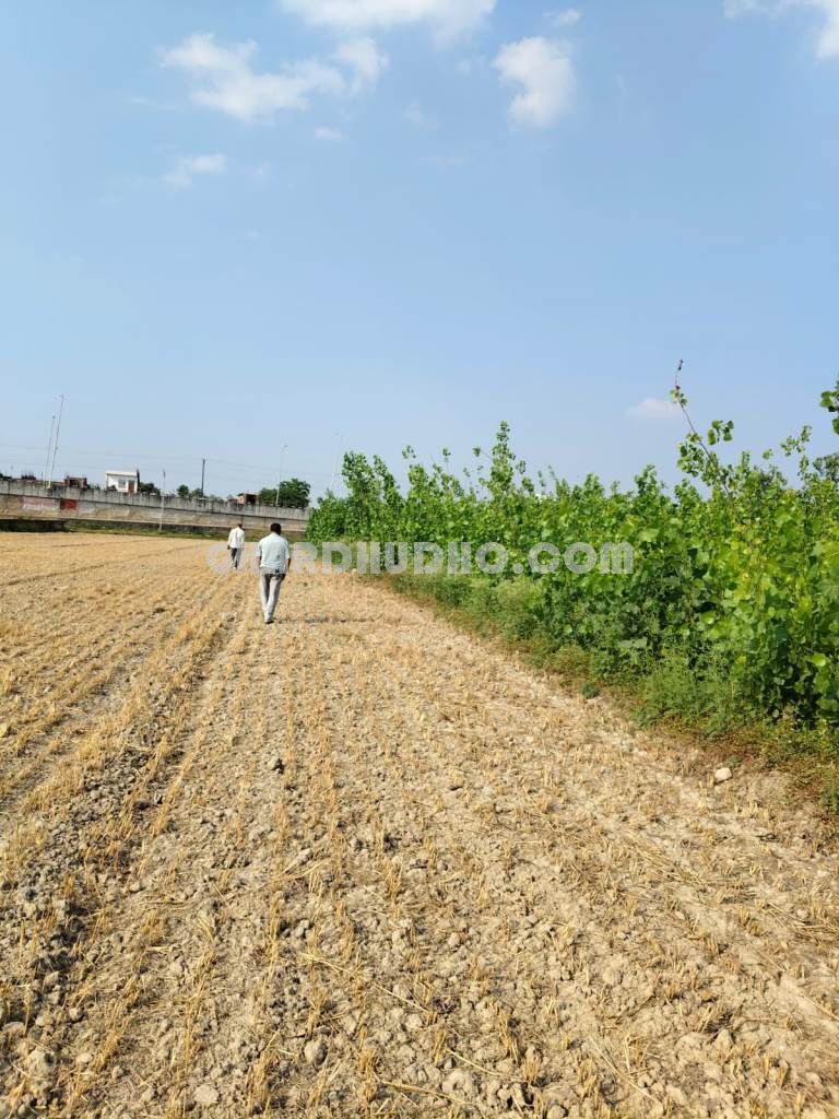 6 Bigha Agricultural Land For Sale In Moradabad UP