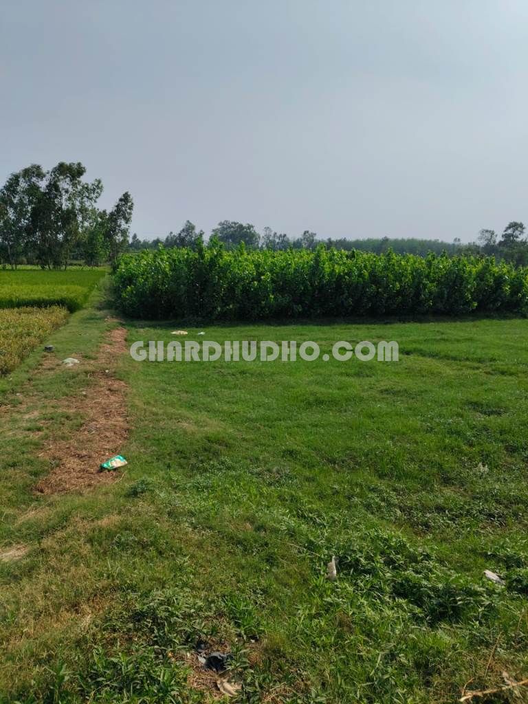 6 Bigha Agricultural Land For Sale In Moradabad UP