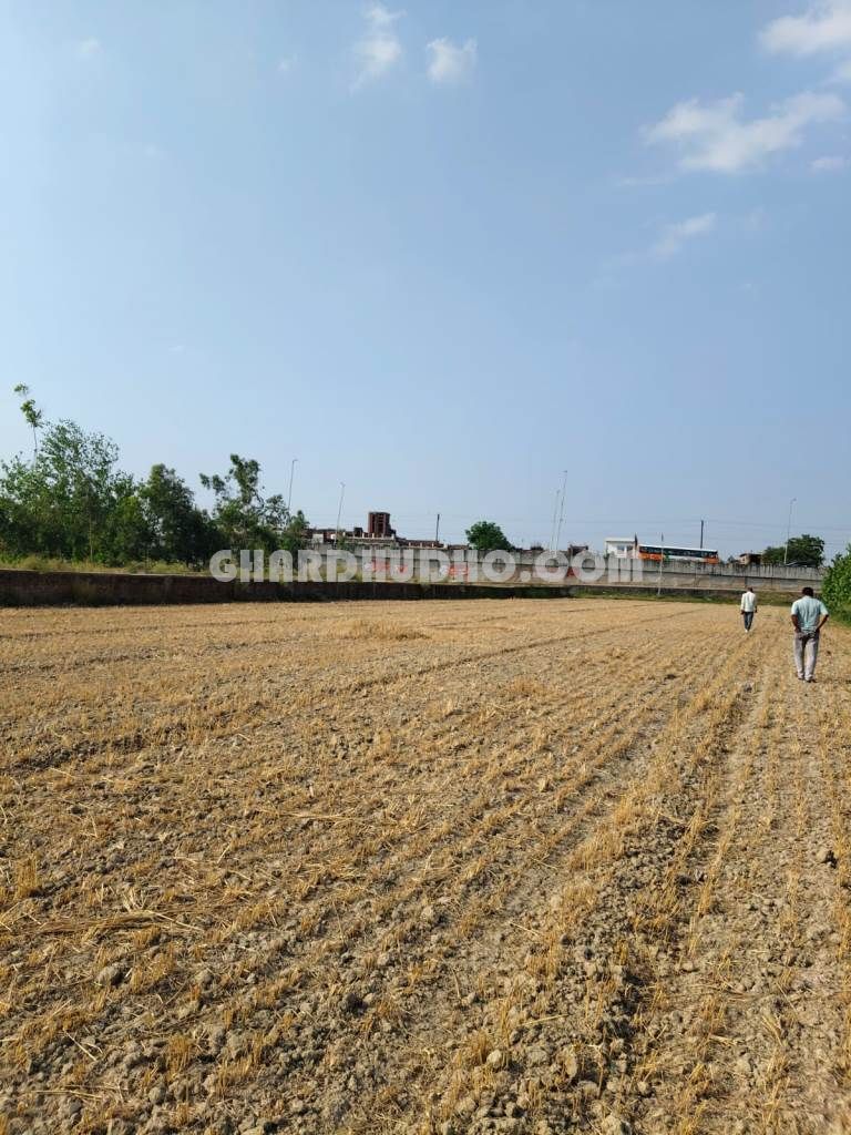 6 Bigha Agricultural Land For Sale In Moradabad UP