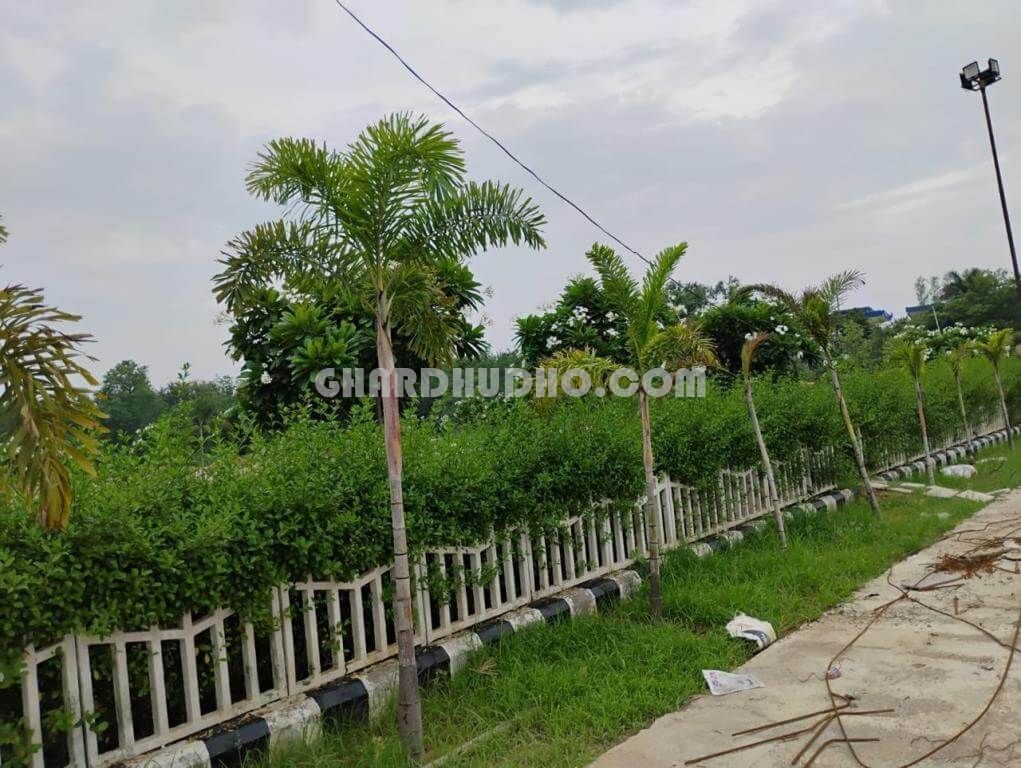 District Board Approved Plot For Sale At Sultanpur Road Lucknow
