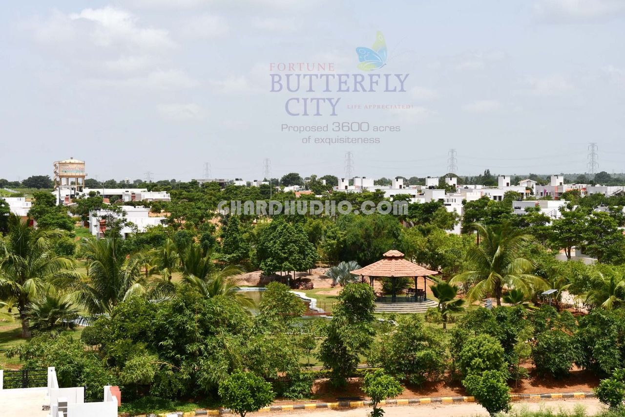 Fortune Butterfly City