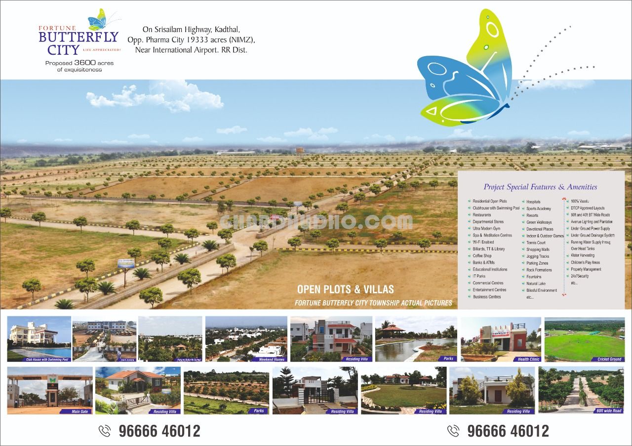 Fortune Butterfly City