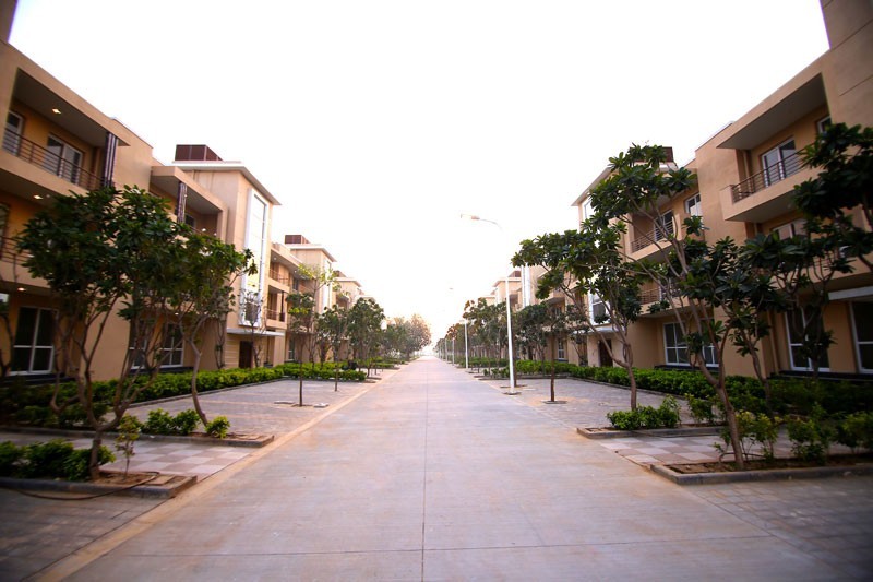 Park Land Pride