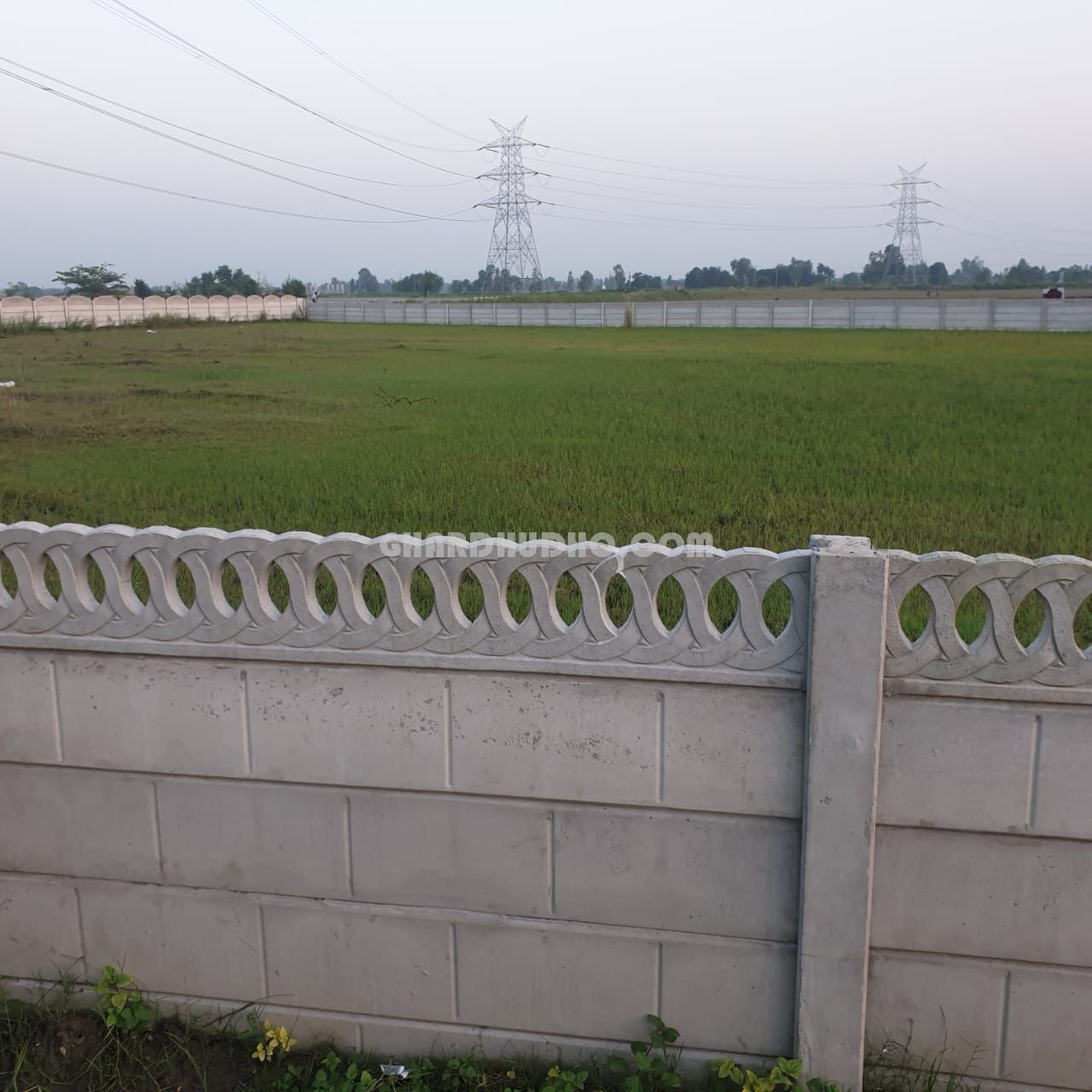 The Gate