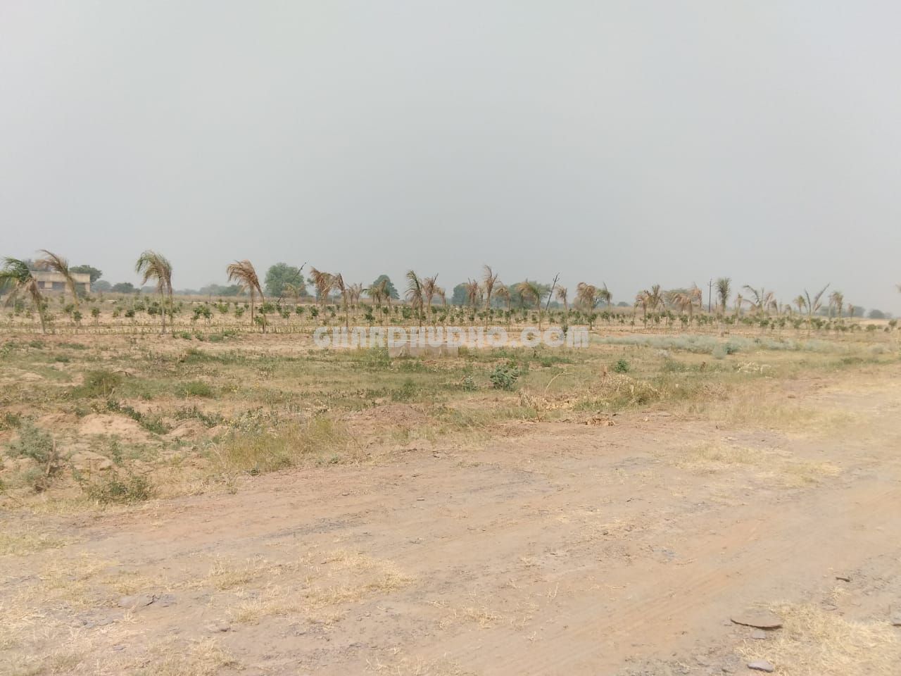 Palm City Jaipur : Free Hold Plot In Jaipur