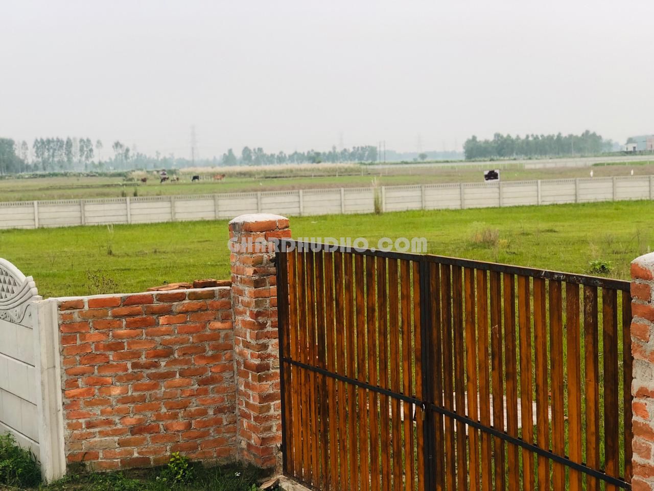 The Gate