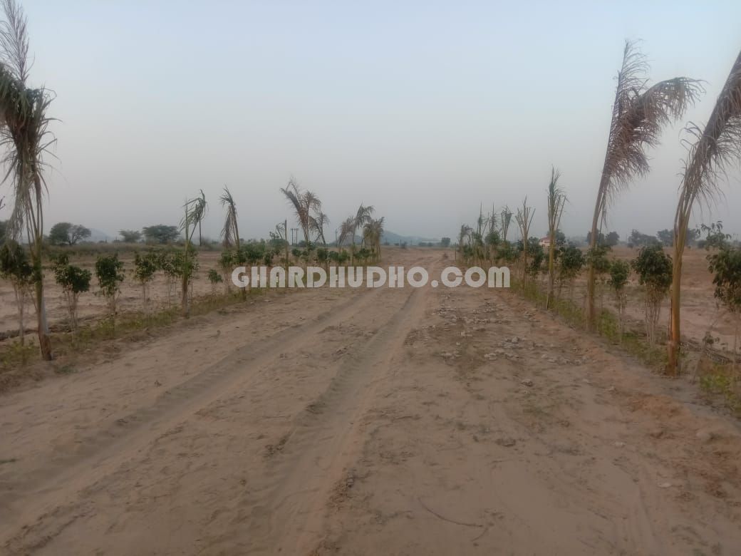 Palm City Jaipur : Free Hold Plot In Jaipur