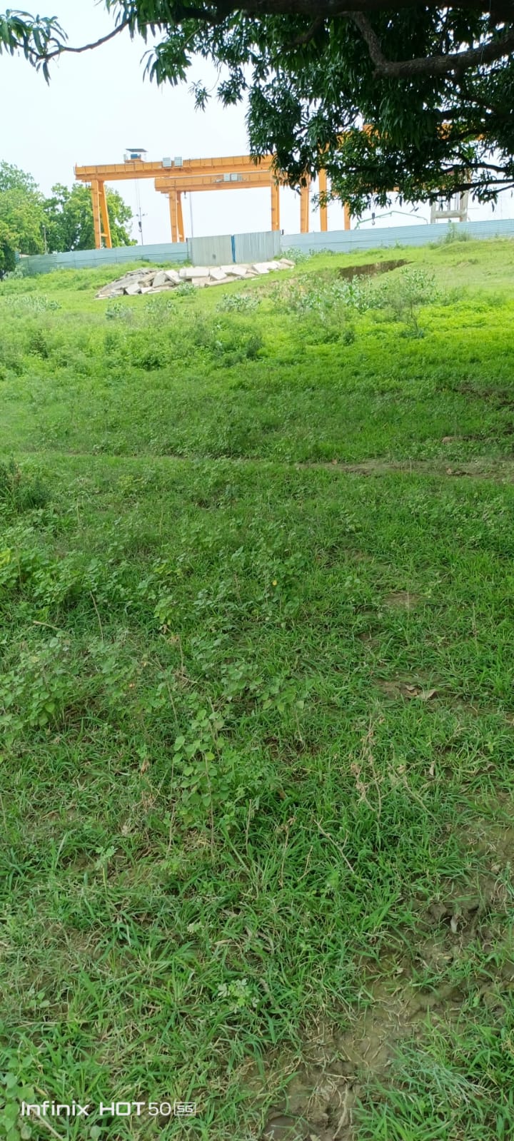 10 Bigha Agricultural Land For Sale In Vrindawan Mathura